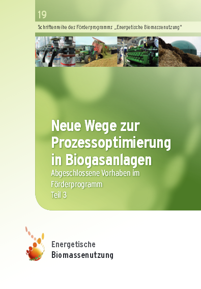 An Ecological and Economical Evaluation of Several Biogas Uprgrading Processes and Options for the Use of Biomethane