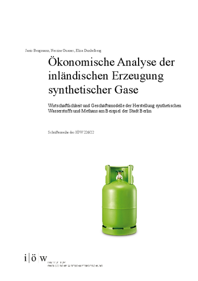 Ökonomische Analyse der inländischen Erzeugung synthetischer Gase