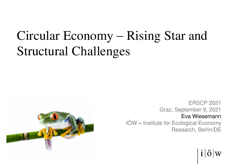 Circular Economy – Rising Star and Structural Challenges