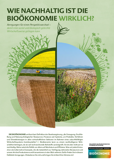 How sustainable is bioeconomy really?