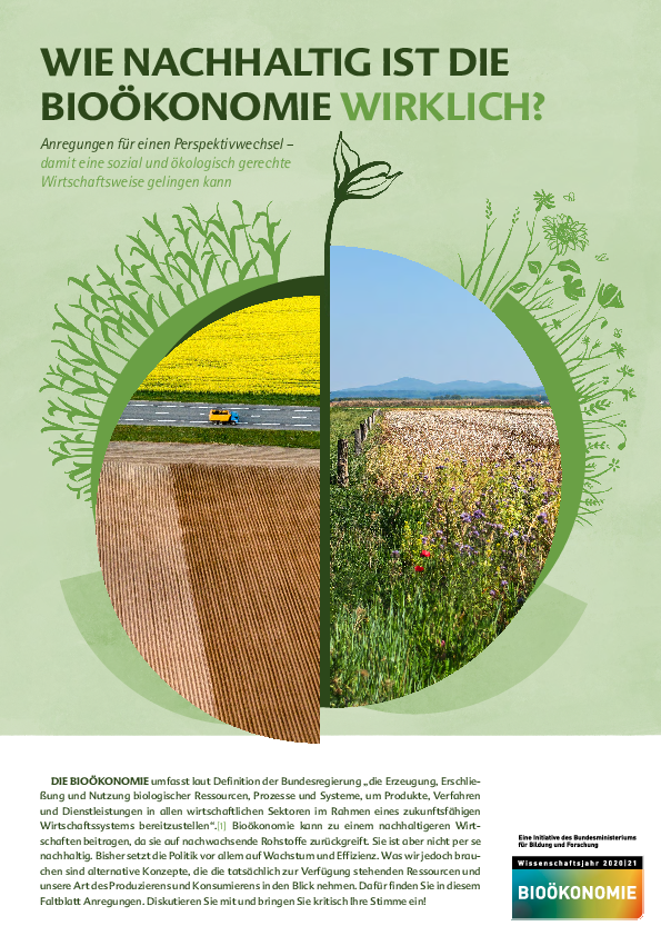 How sustainable is bioeconomy really?