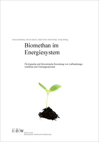 Biomethane in a sustainable energy system