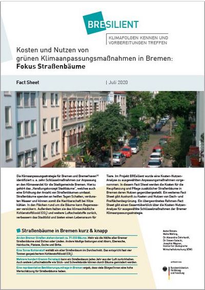 Kosten und Nutzen von grünen Klimaanpassungsmaßnahmen in Bremen: Fokus Straßenbäume